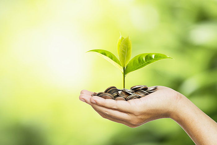 hand holding coins with plant growing from the coins