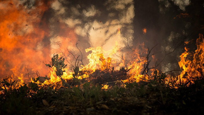 Wildfires burning through brush 