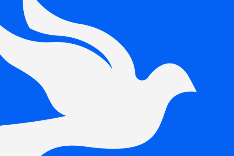 a white dove