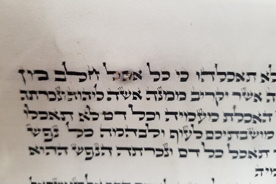 hebrew text