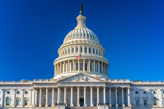 an image of the capital buidling in Washington DC